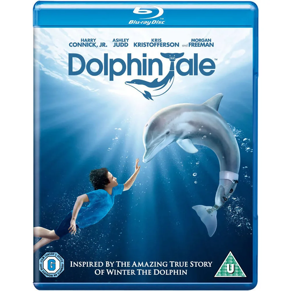 Dolphin Tale Image 1