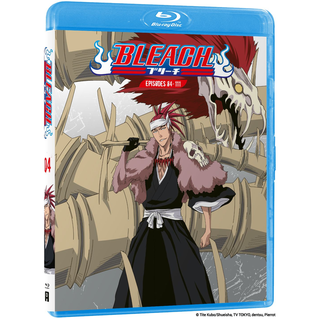 Bleach Vol 4
